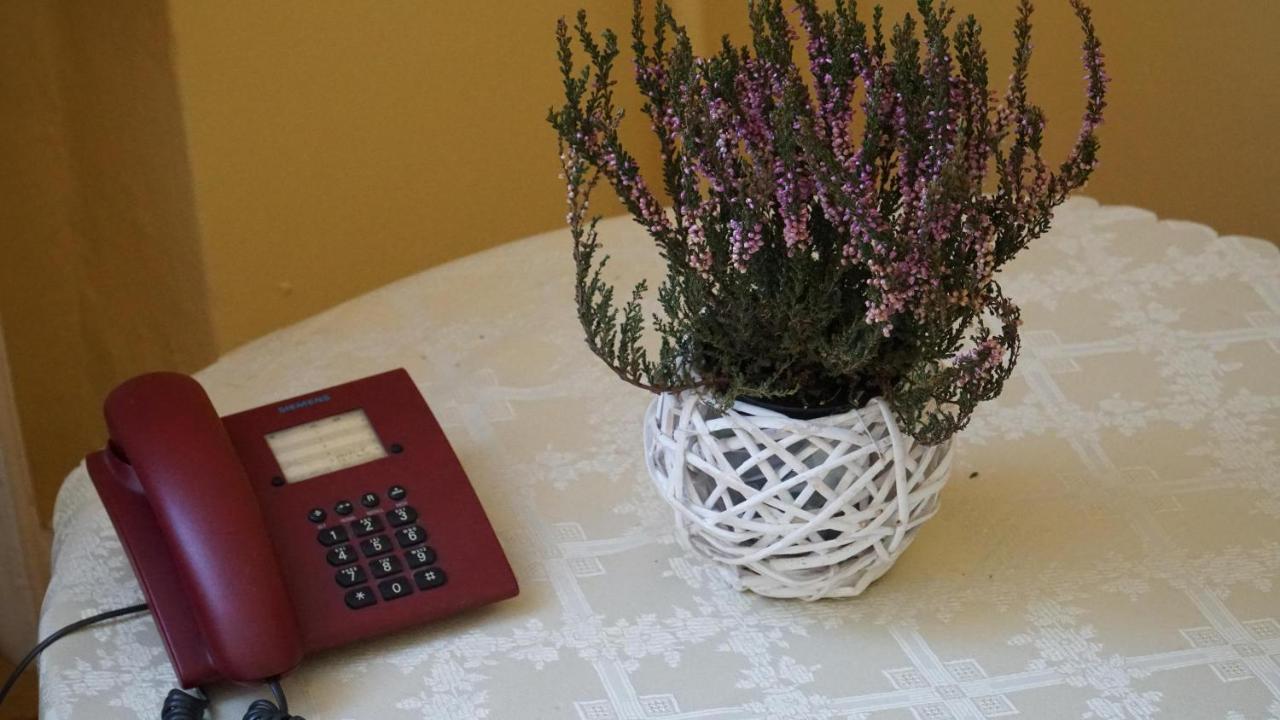 Bks Stal Olimp Bed and Breakfast Bielsko-Biała Eksteriør billede